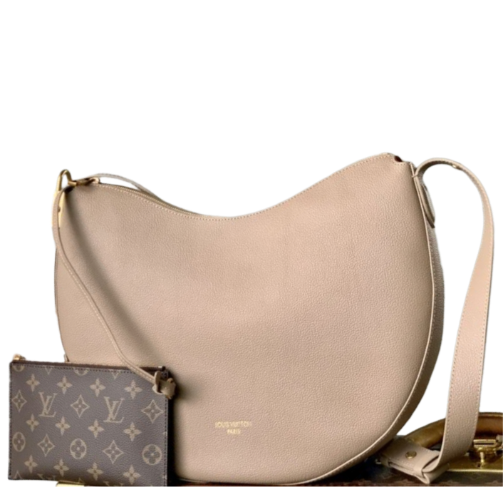 Louis Vuitton Low Key Cookie MM bag